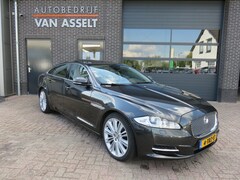 Jaguar XJ - 3.0 V6D Premium Luxury LWB Panoramadak , Leer , Navi