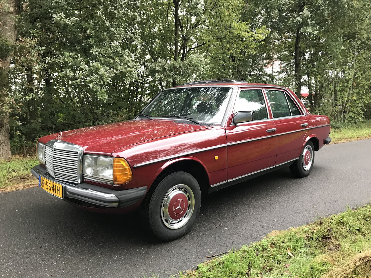 mercedes-benz-200-280-w123-w123-240-d-5bak.jpg