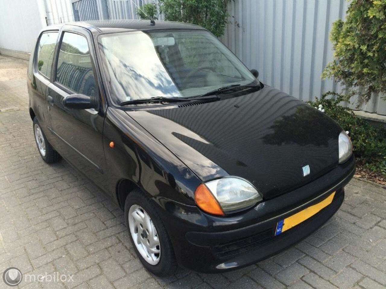 Fiat Seicento - - 1.1 Young Plus 3-Deurs - AutoWereld.nl