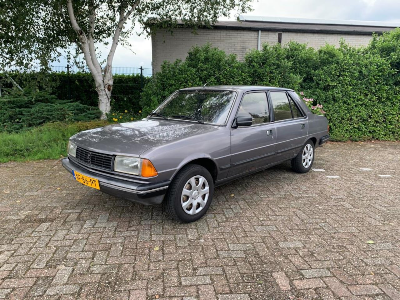 peugeot-305-gt-h5-apk-origineel-nedrlandse-auto.jpg