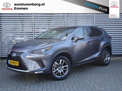 Lexus NX - 300h AWD Luxury Line