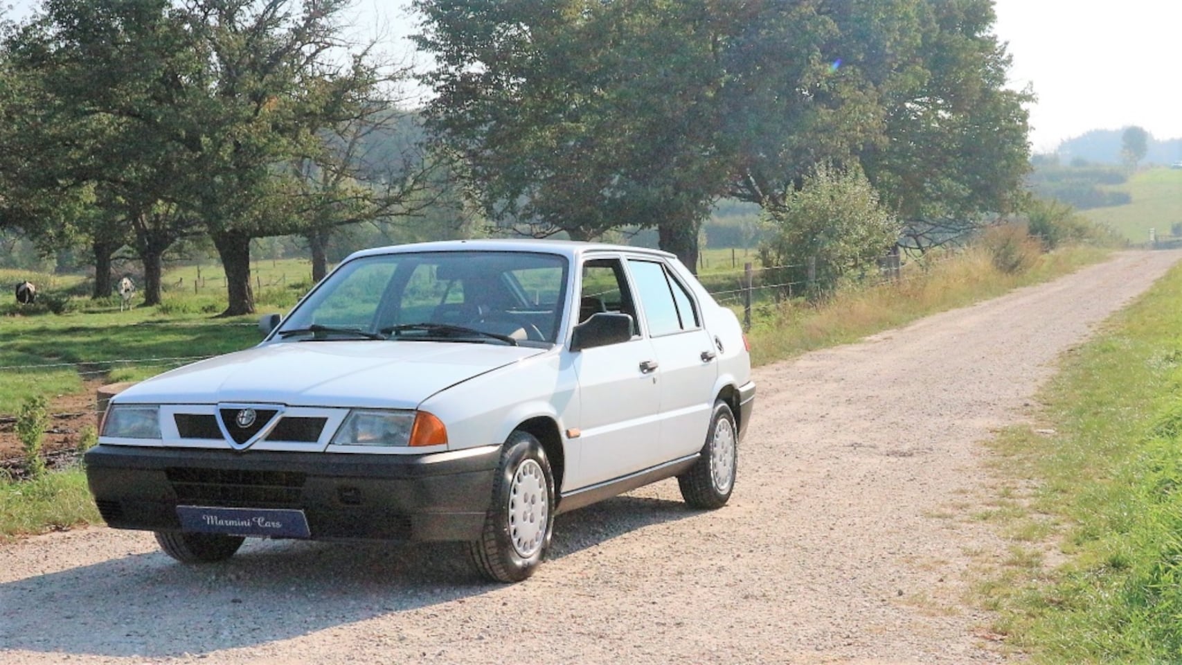 alfa-romeo-33-1-5-ie-1-5-ie.jpg