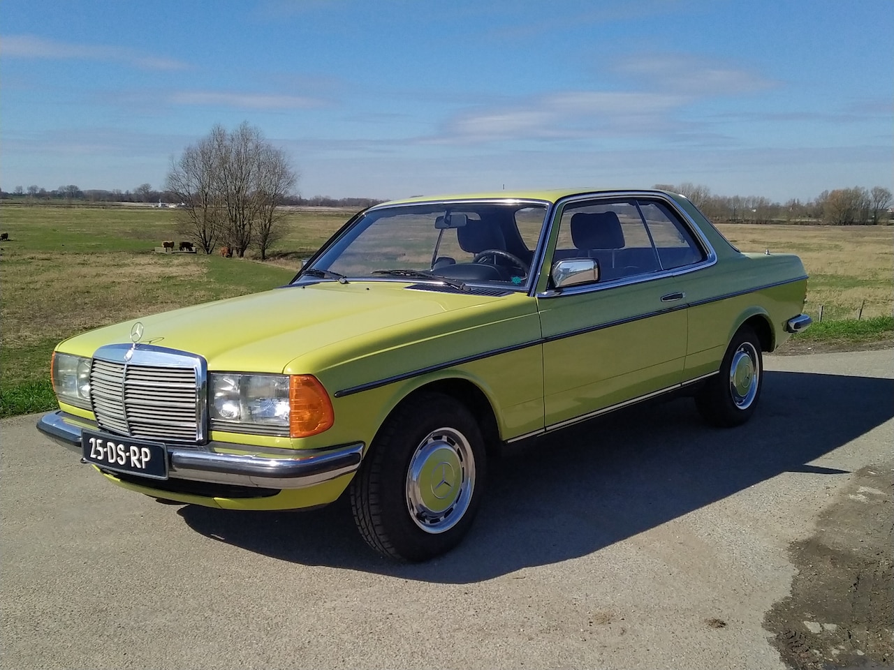mercedes-benz-200-280-w123-230-c.jpg