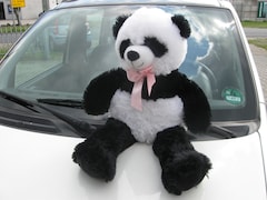 Fiat Panda - 1.2 Edizione Cool , Panoramadak!!, 2e Eigenaar