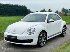 Volkswagen Beetle - 1.2 TSI Trend