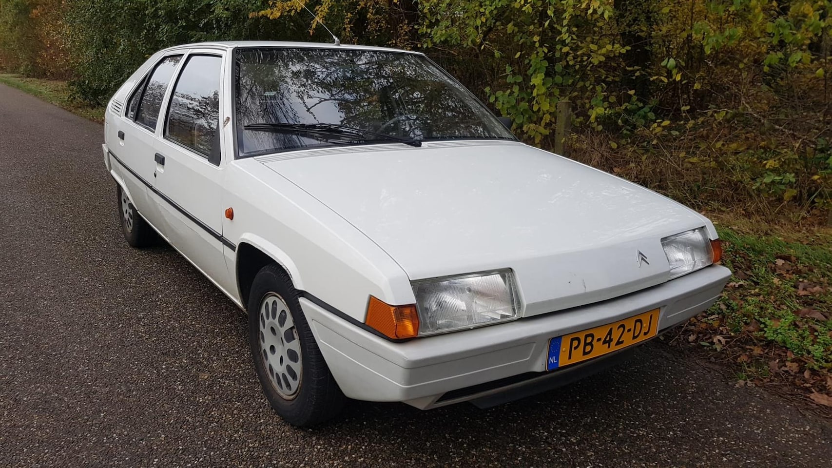 citroen-bx-1-4-basis-apk-11-2023.jpg