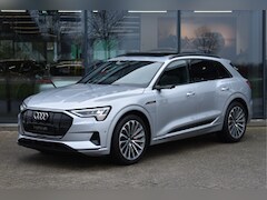 Audi e-tron - e-tron 55 quattro Pro Line, *EX BTW* Panoramadak, LED, 360 Camera