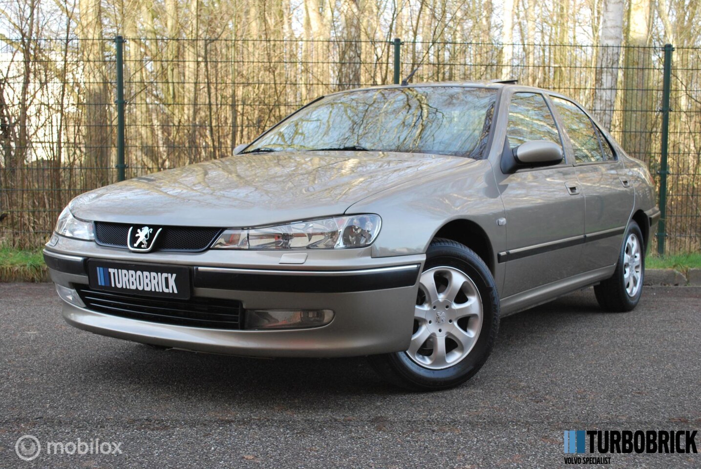 peugeot-406-2-0-16v-sv-1e-eigenaar-full-option-youngtimer.jpg
