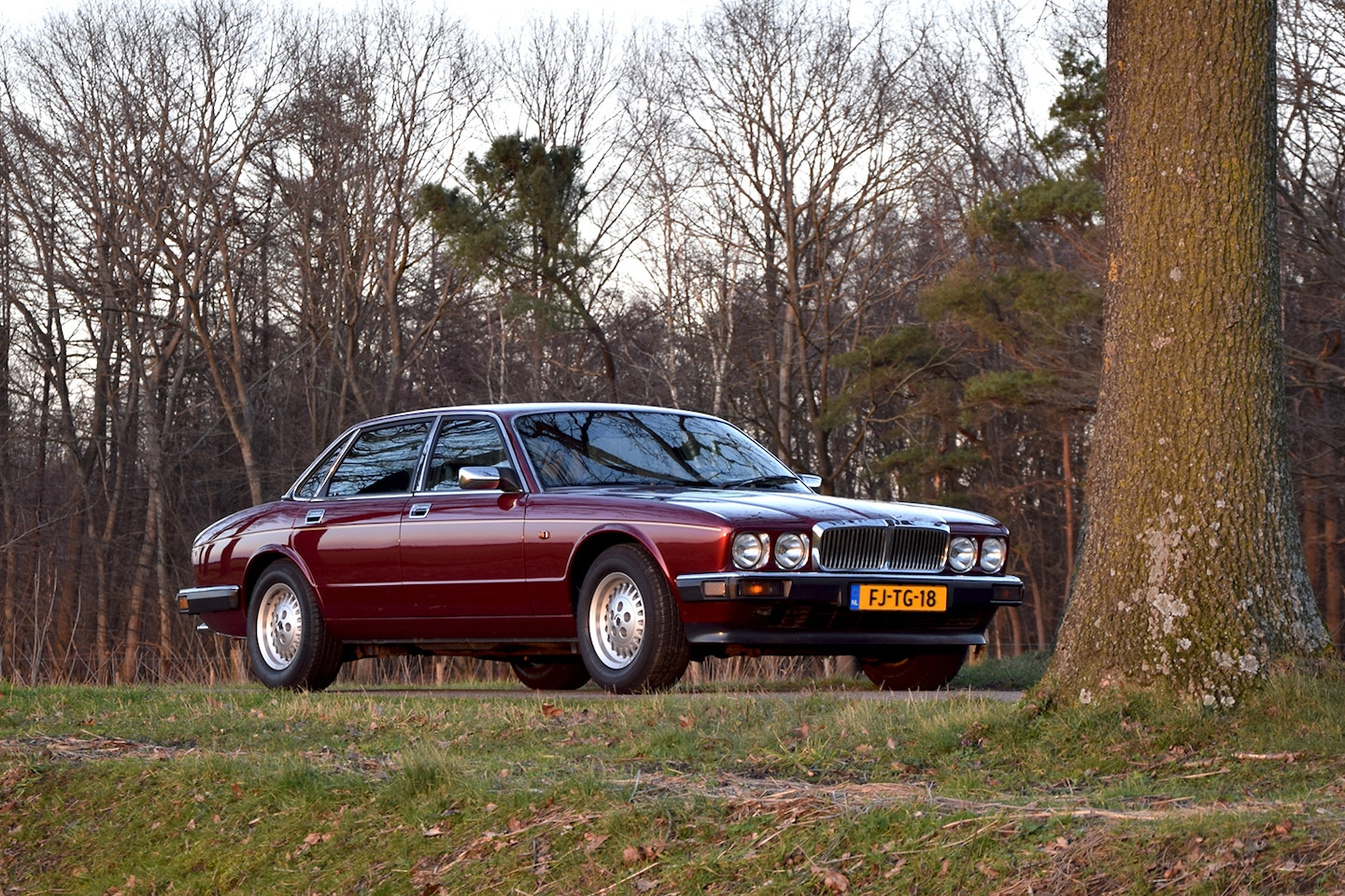 jaguar-xj-xj40-xj6-3-2-l6-regency-red-103-491km-bj1992.jpg