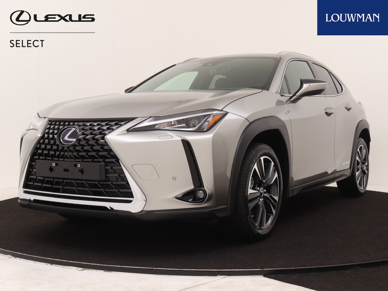 Lexus UX - 250h Business Line | Navigatie | Safety Pack | Smart entry & start | Apple Carplay-/Androi - AutoWereld.nl