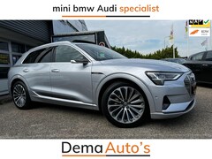 Audi e-tron - 55 quattro 95 kWh 4%BT/S-LINE/PANO/N.ZICHT/V, SPIEGELS/NAVI