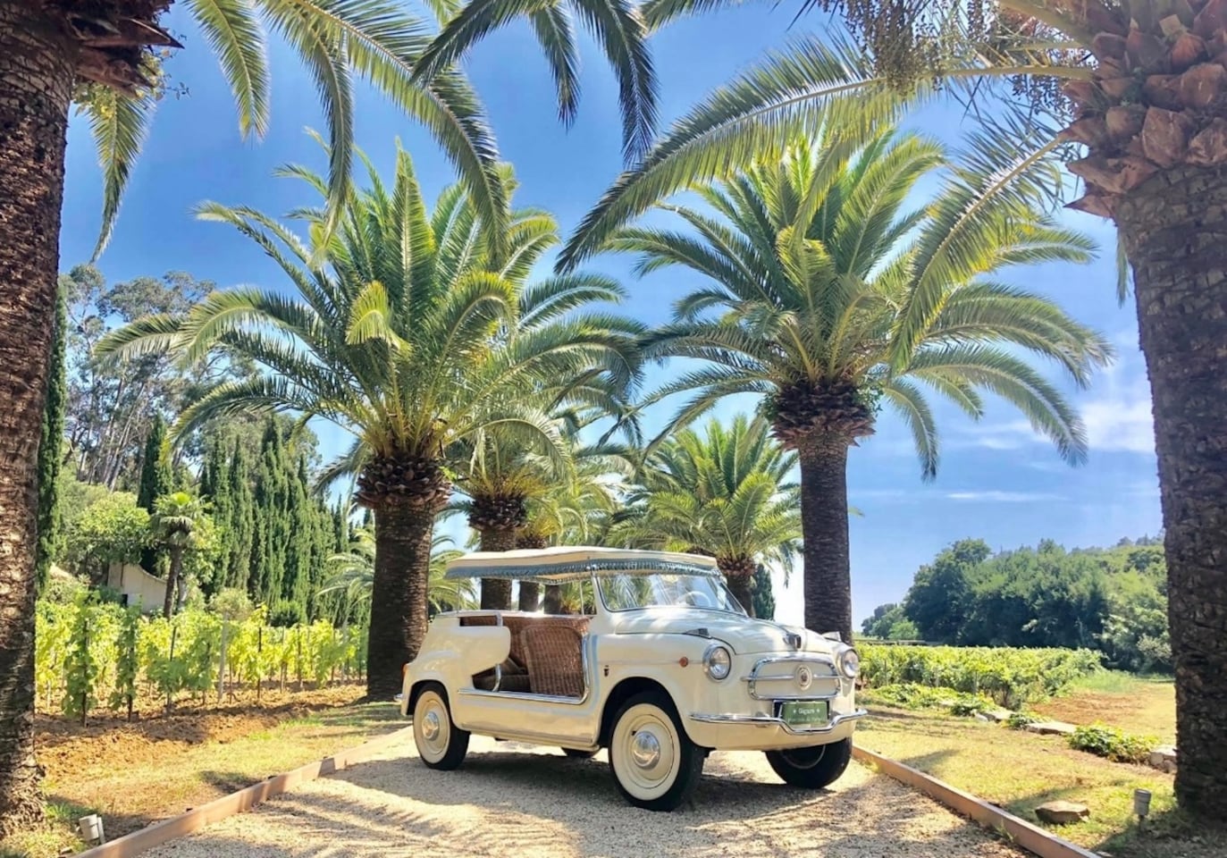 Fiat 600 - Jolly beach - AutoWereld.nl