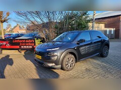 Citroën C4 Cactus - BlueHDi 100 Business Plus