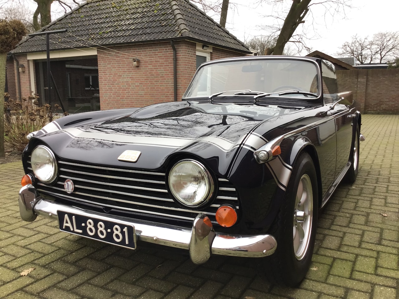 Triumph TR2 - triumph tr 250 - AutoWereld.nl