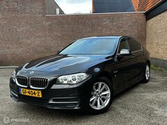 BMW 5-serie - 520d Executive | Org NL | Alcantara | Rijklaar