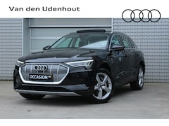 Audi e-tron - 55 quattro 408pk Business edition / Achteruirrijcamera / Panoramadak