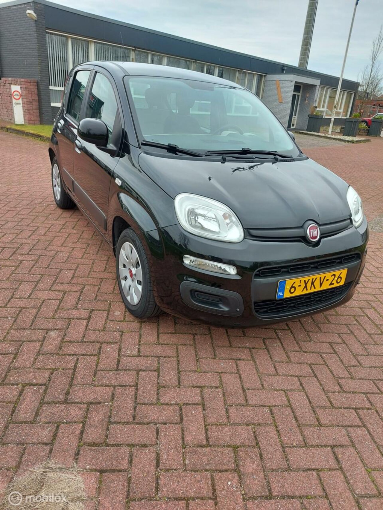 Fiat Panda - 0.9 TwinAir Edizione Cool 0.9 TwinAir Edizione Cool - AutoWereld.nl