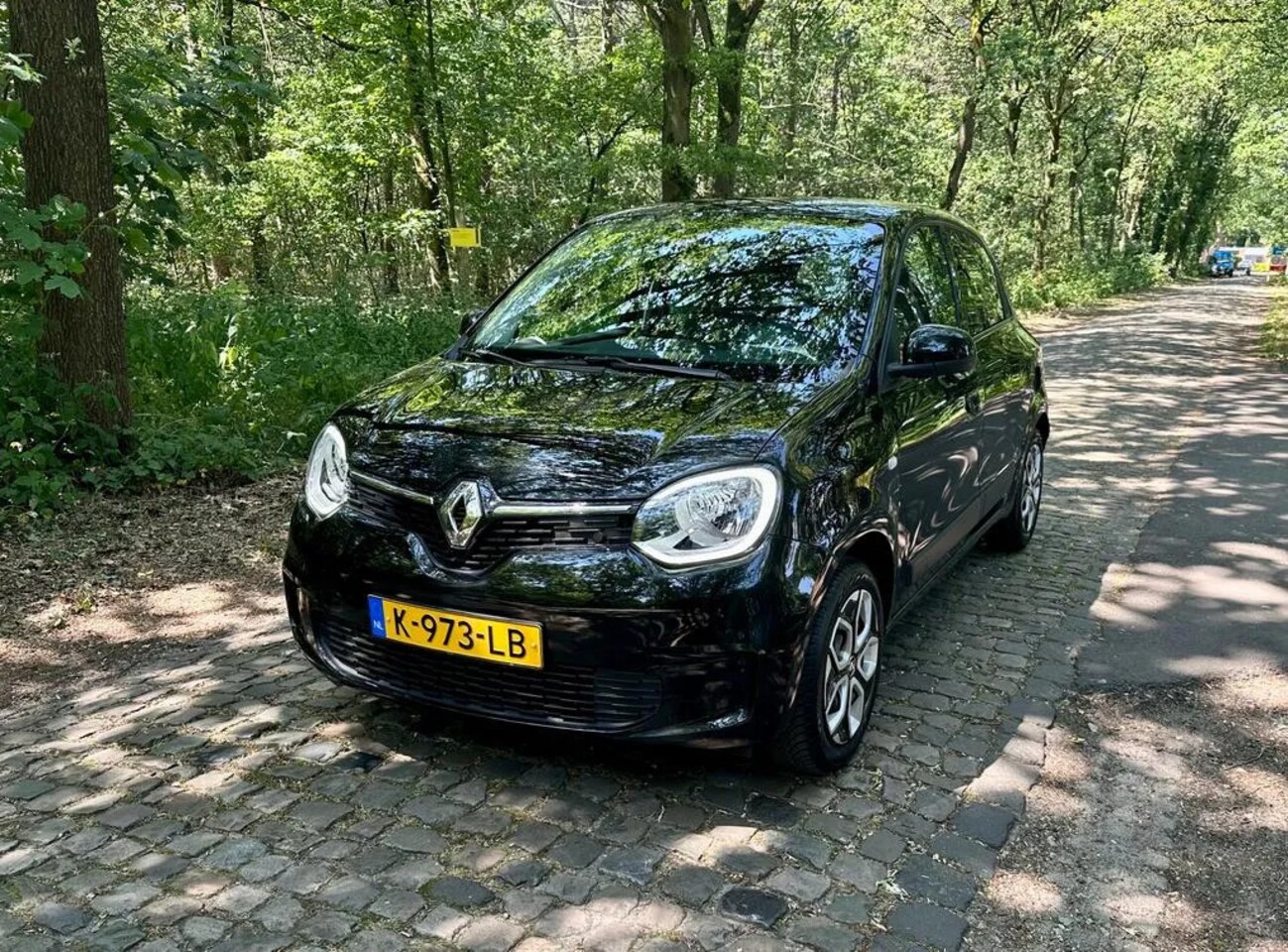 Renault Twingo - 1.0 SCe Collection 1.0 SCe Collection - AutoWereld.nl