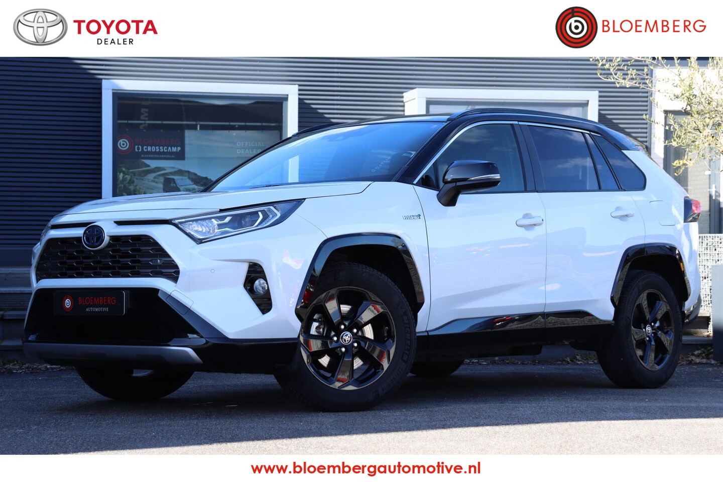 Toyota RAV4 - 2.5 Hybrid Bi-Tone 2.5 Hybrid Bi-Tone - AutoWereld.nl