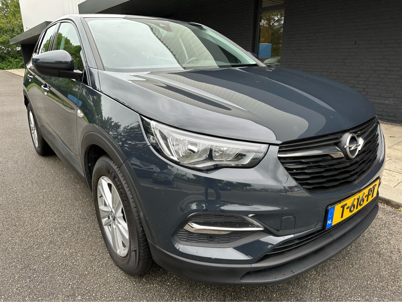 Opel Grandland X - 1.2 Turbo Online Ed. - AutoWereld.nl