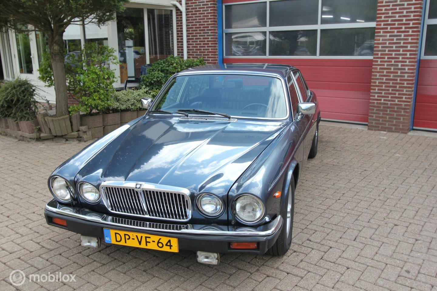 Jaguar XJ - 5.3 V12 5.3 V12 - AutoWereld.nl