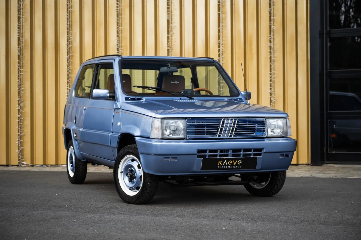 fiat-panda-4x4-piccolo-lusso.jpg
