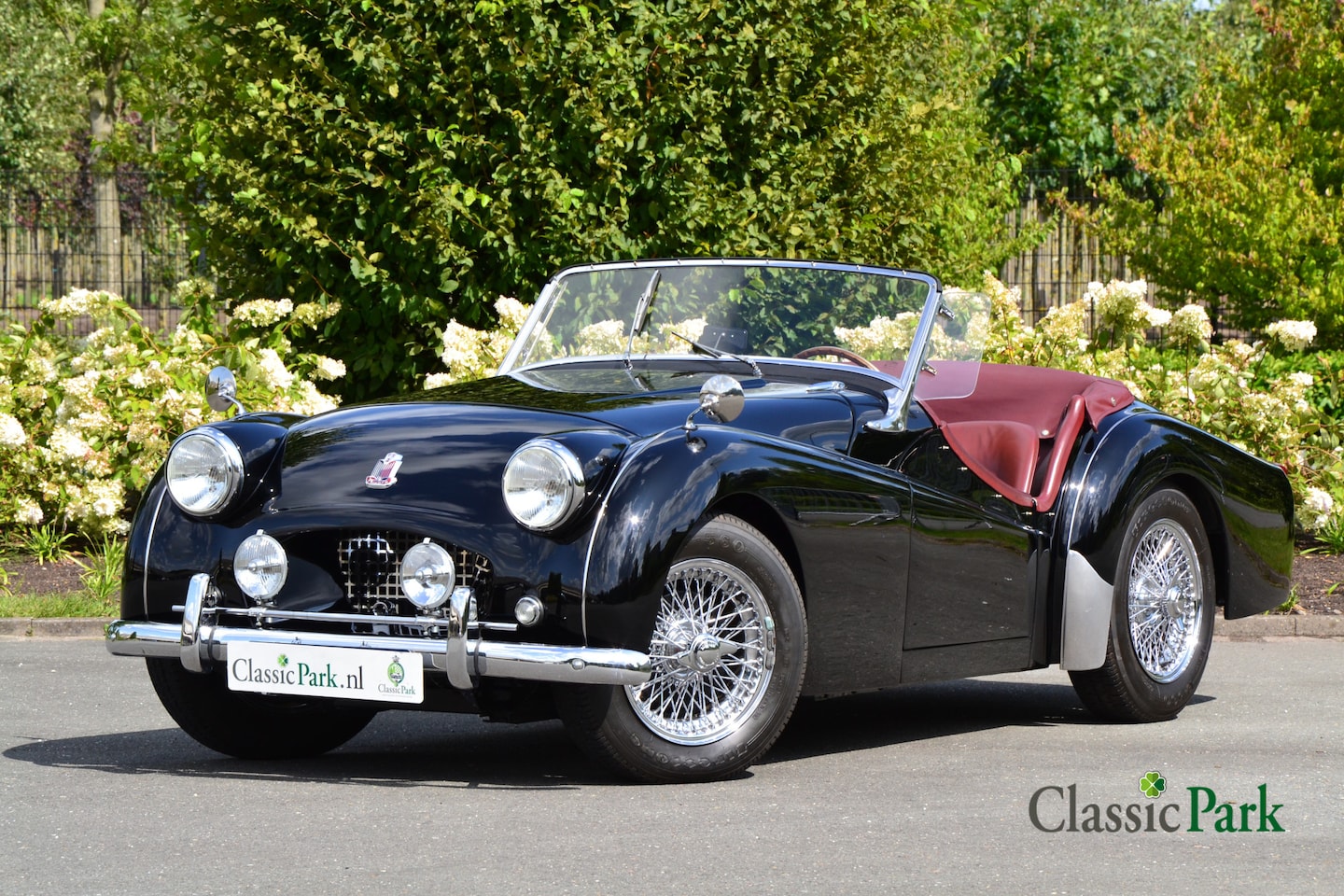 Triumph TR2 - AutoWereld.nl