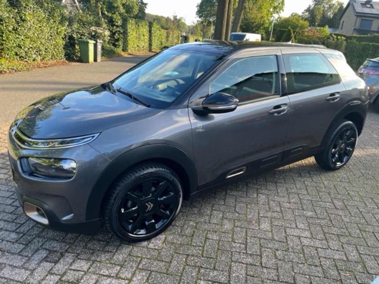 Citroën C4 Cactus - 1.2 PureTech 110pk S&S Origins - AutoWereld.nl