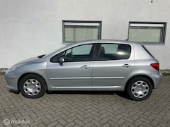 Peugeot 307 - 1.6-16V Premium Clima 92000 km n.a.p