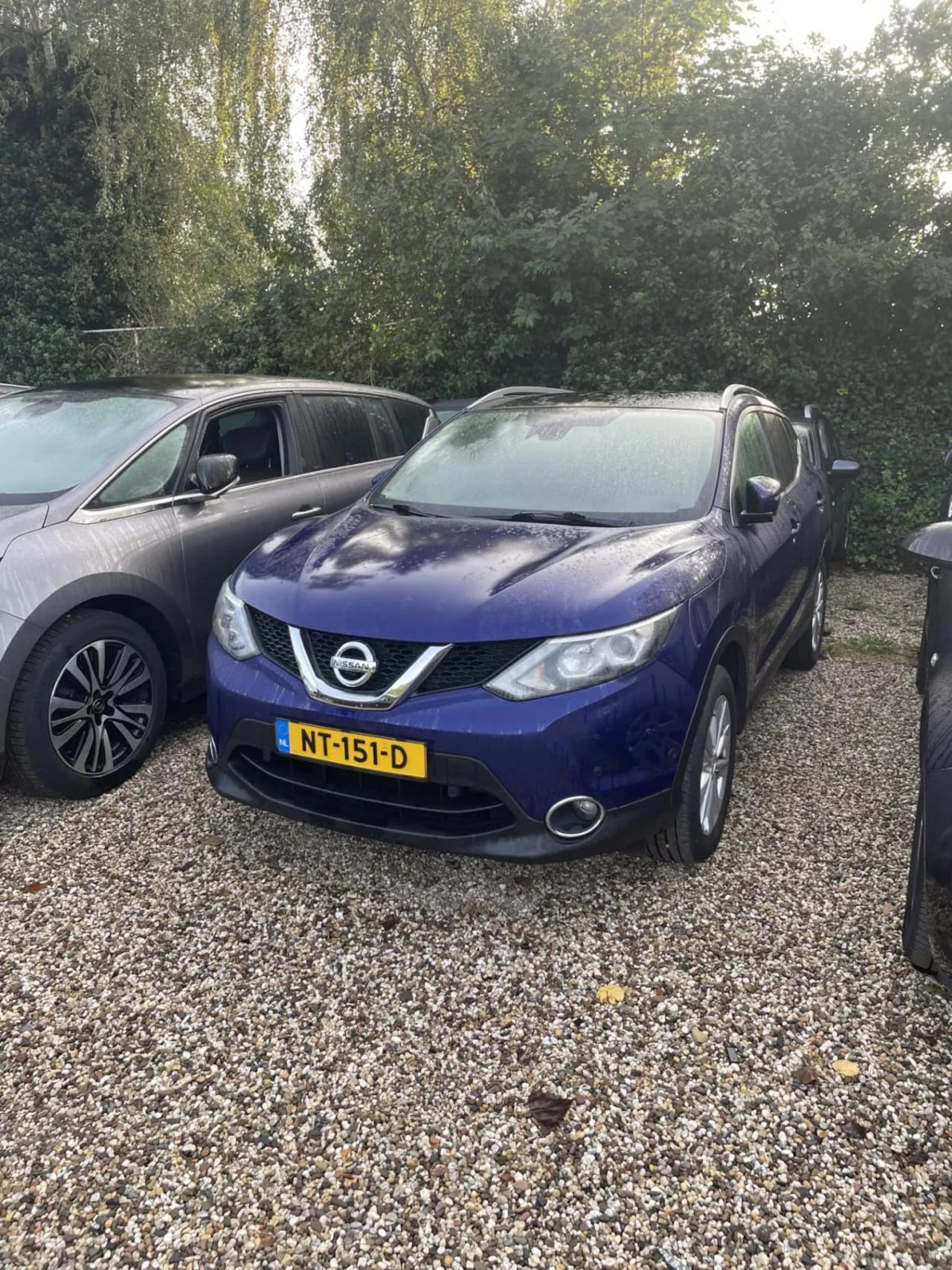 Nissan Qashqai - 1.5 dCi Business Edition 1.5 dCi Business Edition - AutoWereld.nl