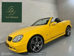 Mercedes-Benz SLK-klasse - 200 K. Yellowstone