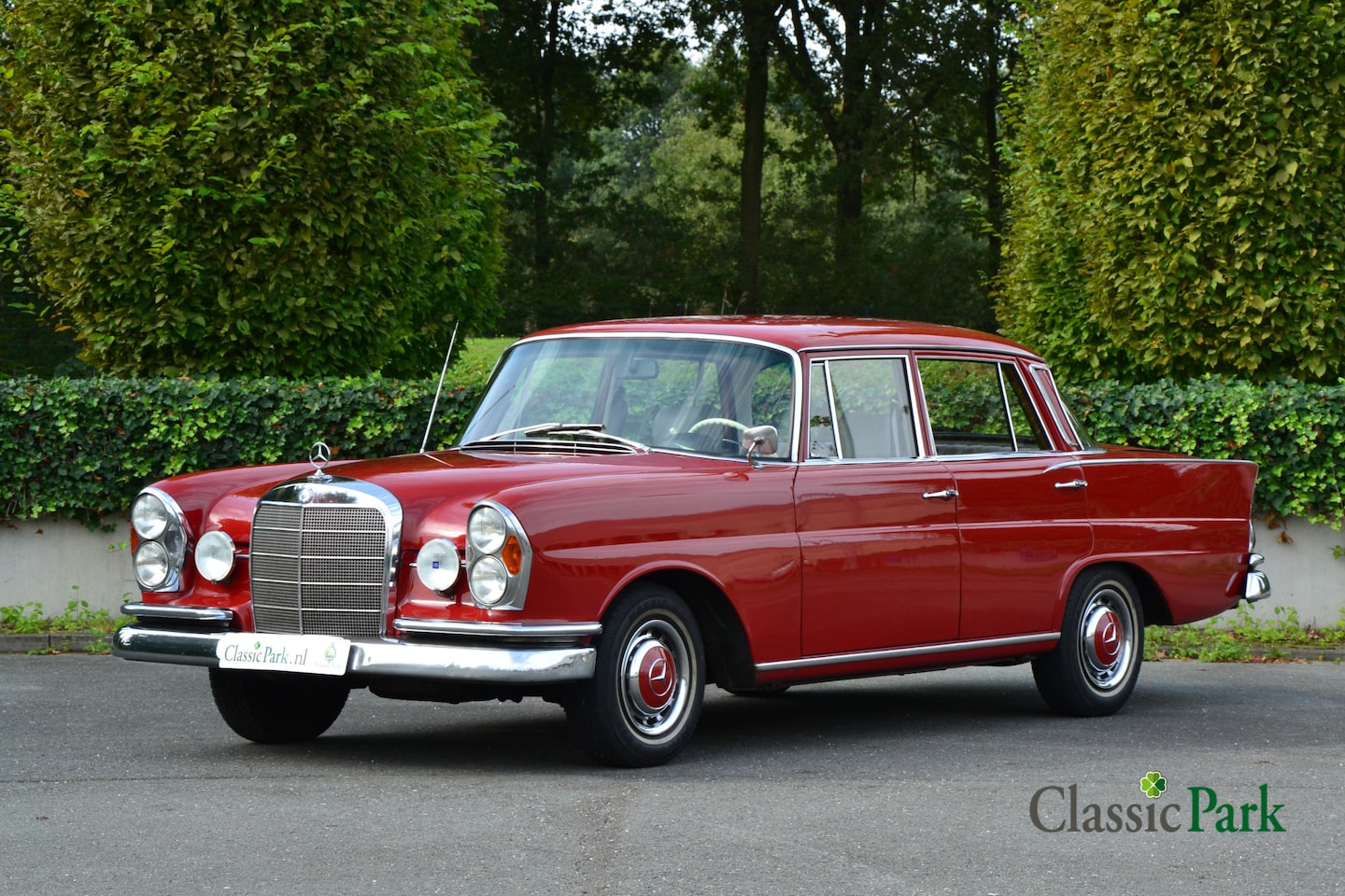 Mercedes-Benz 220 - SE - AutoWereld.nl