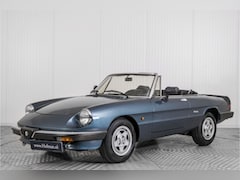 Alfa Romeo Spider - 1.6