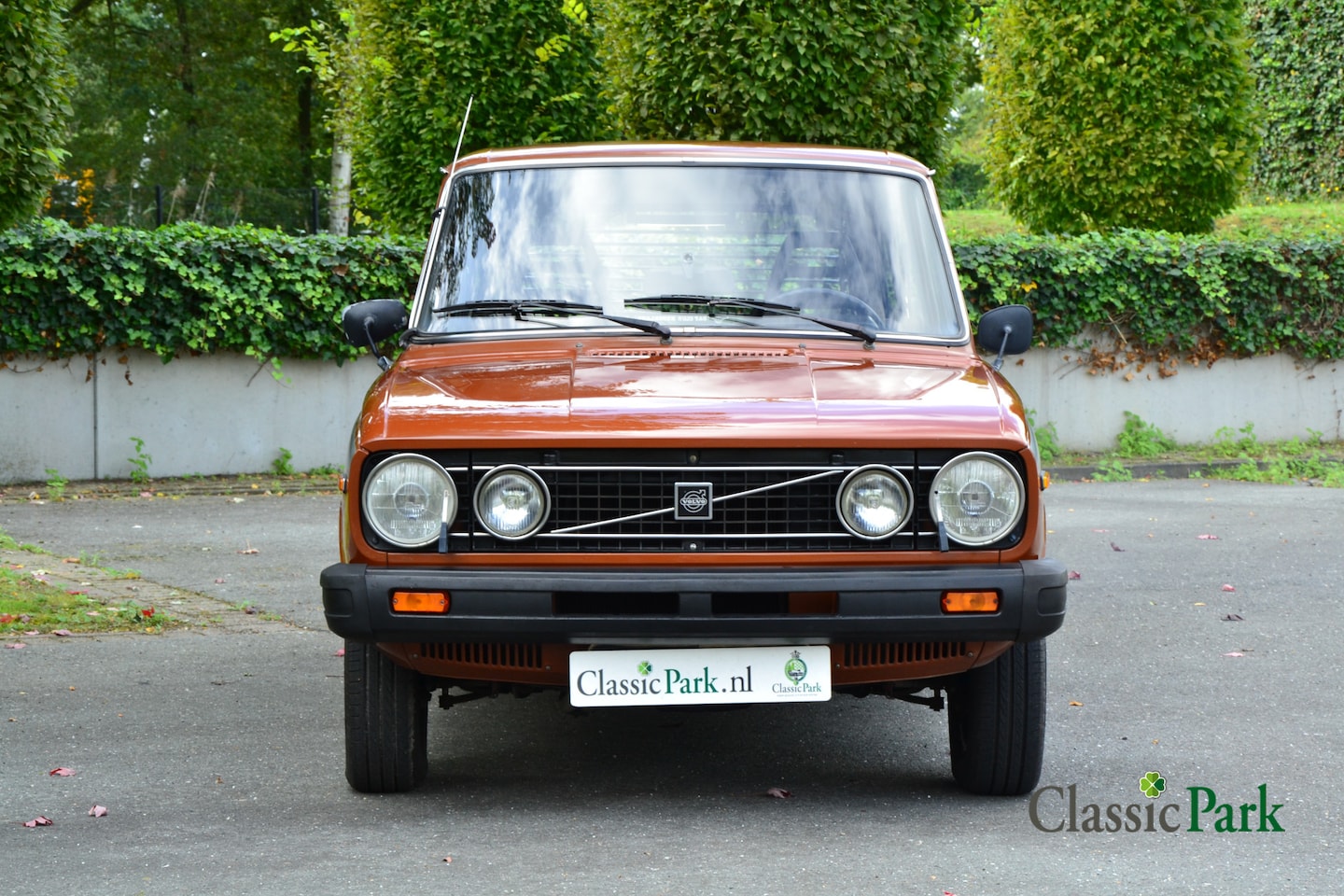 volvo-66-gl-1-3.jpg