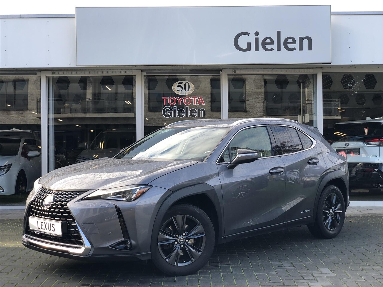 Lexus UX 250h First Edition Premium Dodehoekherkenning