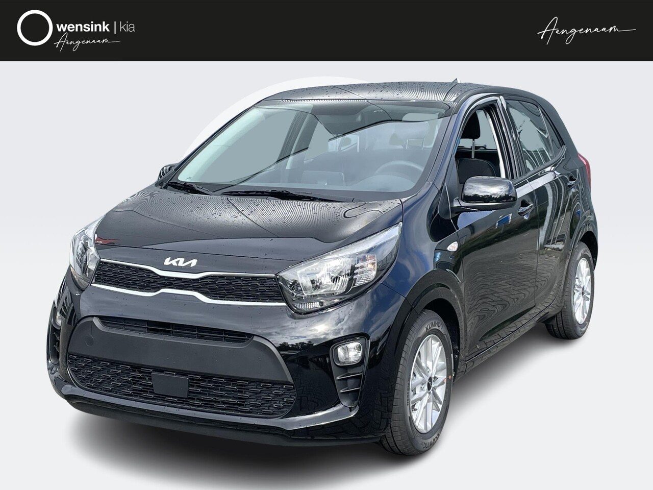 Kia Picanto 1.0 DPi DynamicLine Achteruitrijcamera Lichtmetaal