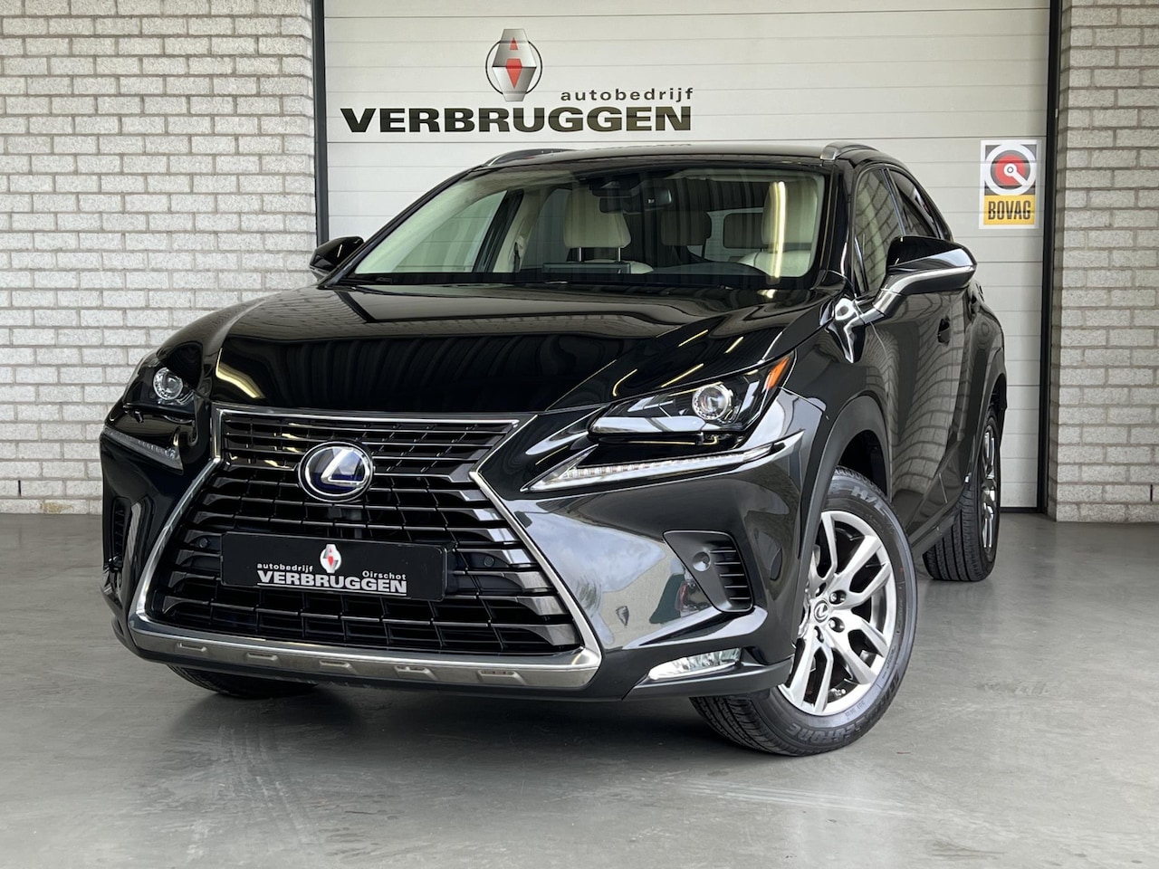 Lexus NX 300h AWD Luxury Line Carplay / Adaptive Cruise 2020 Hybride Occasion te koop op