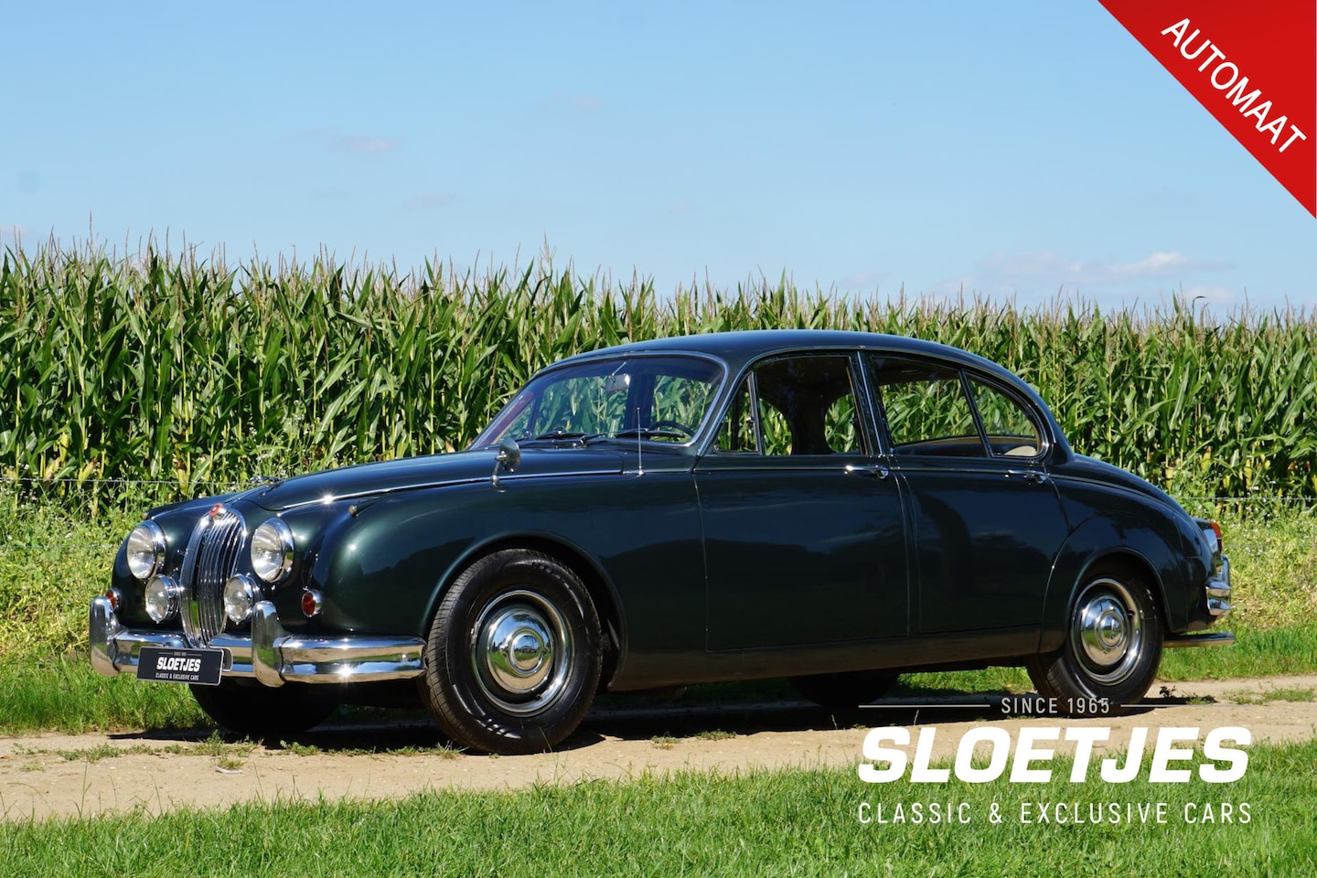 Jaguar Mark II - 3.4 Litre |6 cilinder |210 pk |Automaat |Oudere Restauratie | Mooie staat |Beige leder | Z - AutoWereld.nl