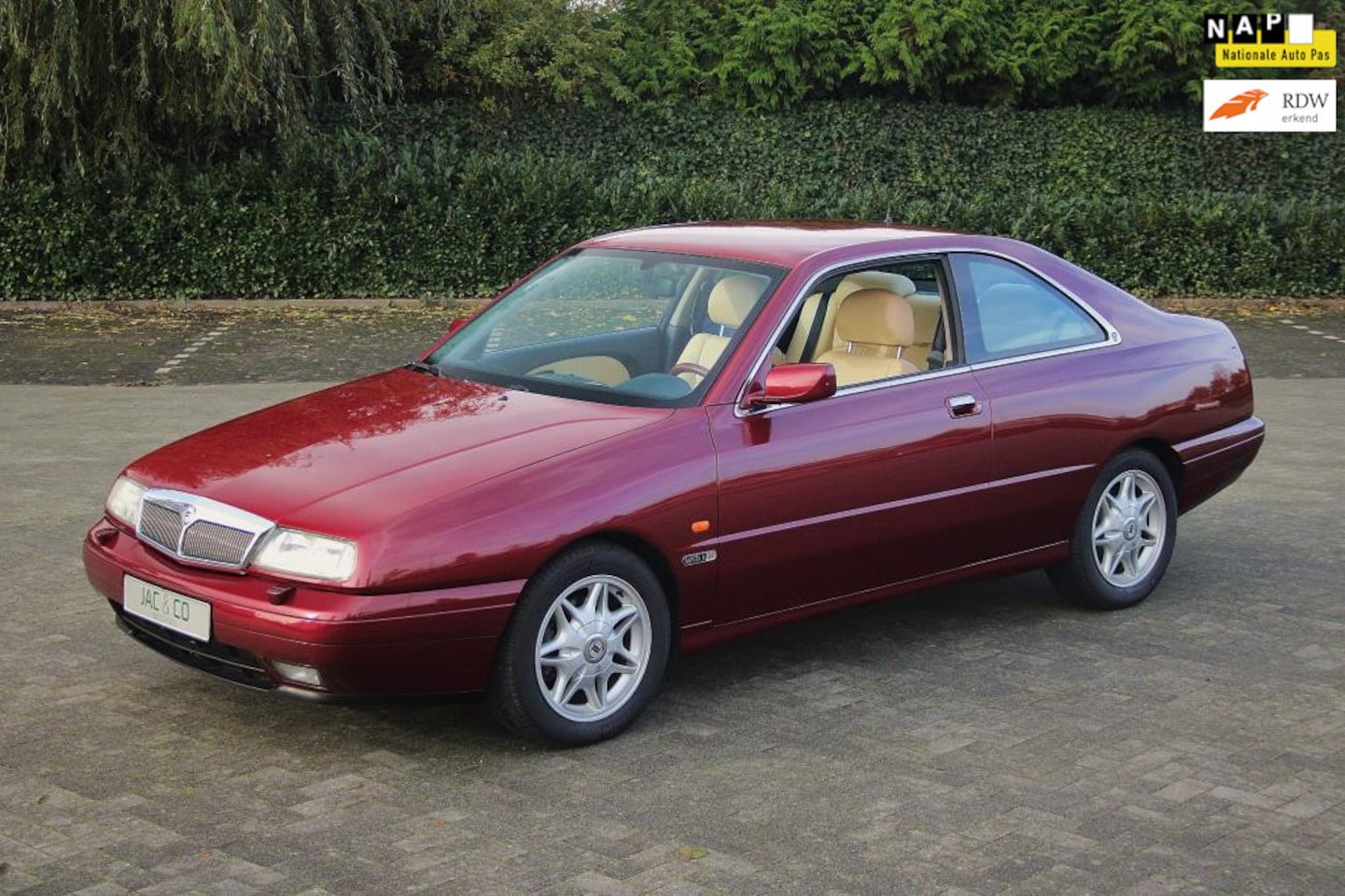 www.autowereld.nl