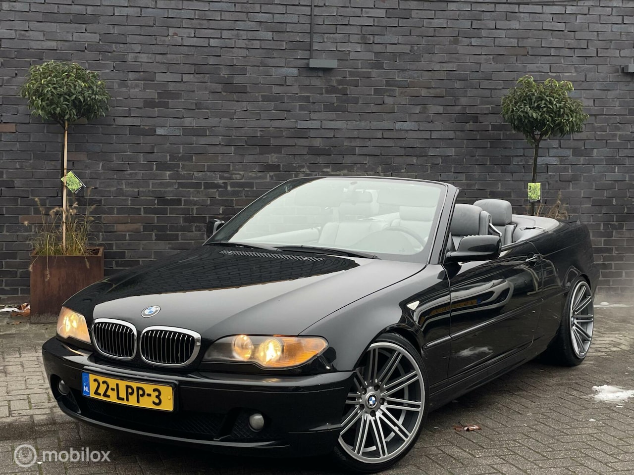 BMW 3-serie Cabrio - 318Ci Executive + Hardtop , Leder *INRUIL MOGELIJK* - AutoWereld.nl