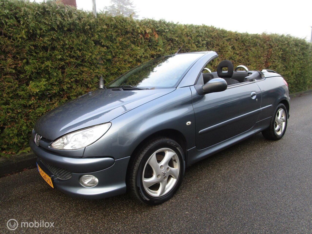 Peugeot 206 CC - 1.6 16V - Climate Control - LMV - AutoWereld.nl