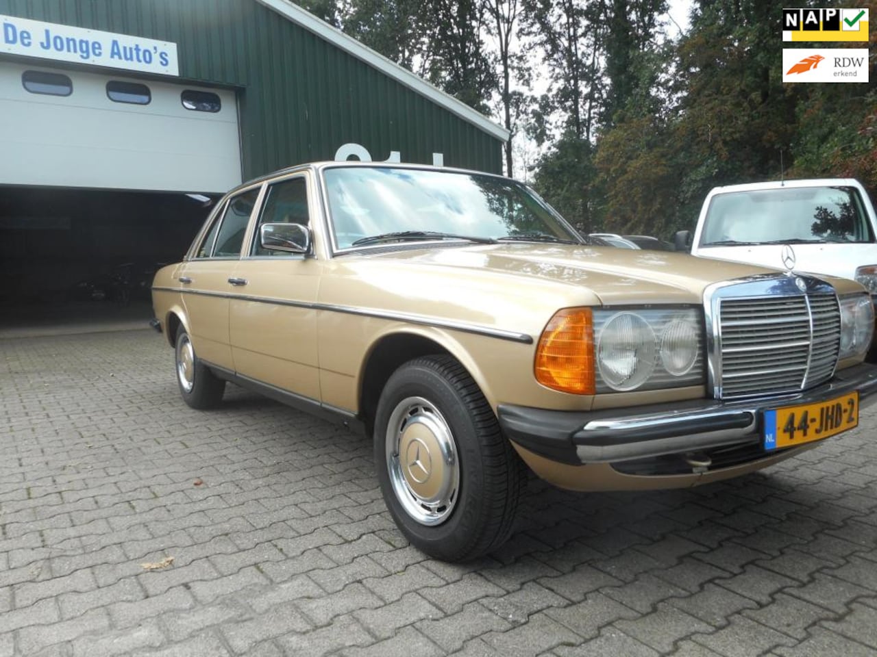 Mercedes-Benz 230 - (W123) E bj 1981 automaat - AutoWereld.nl