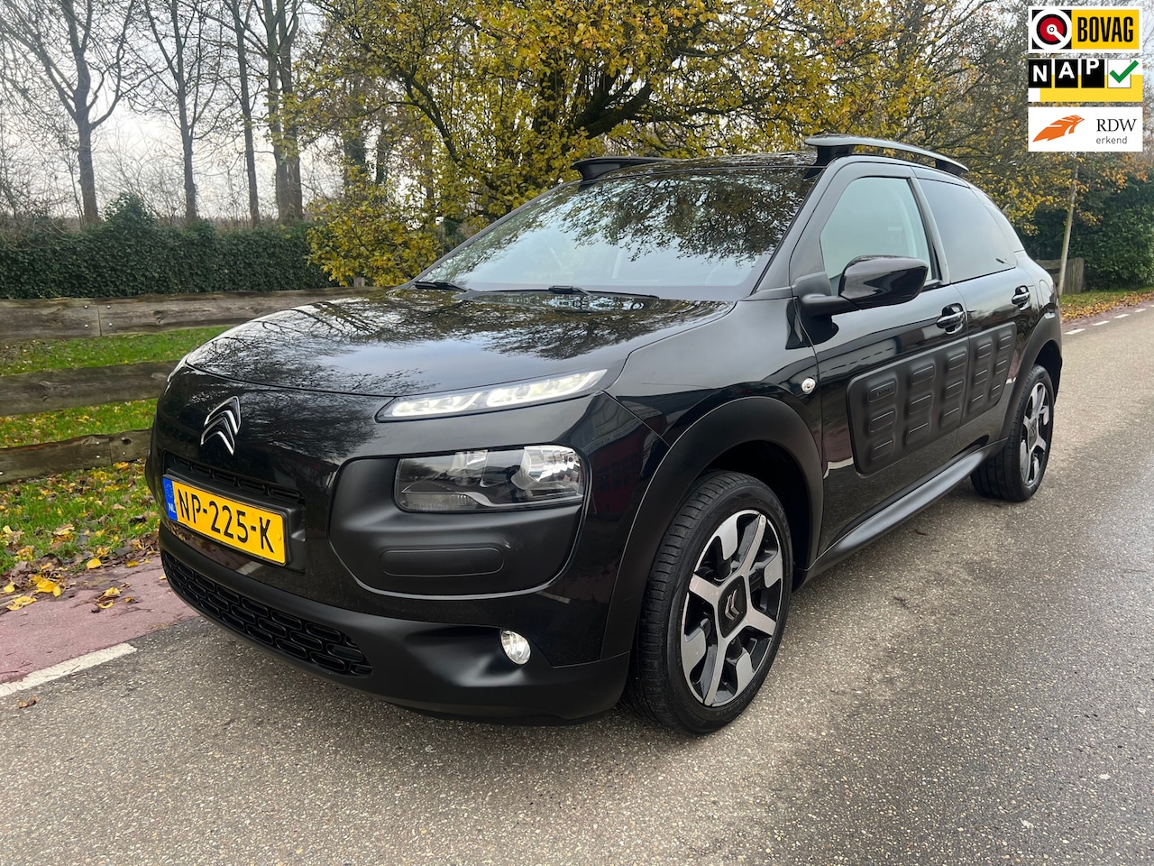 Citroën C4 Cactus - 1.2 PureTech Shine Camera, Navi. PDC - AutoWereld.nl