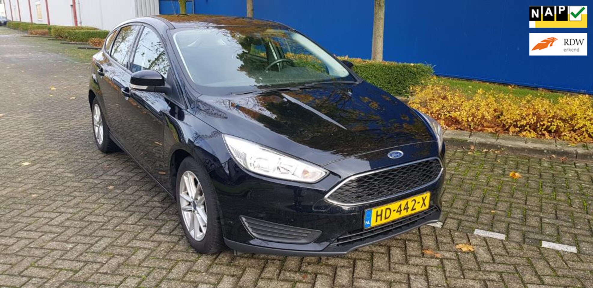 Ford Focus - 1.0 Trend Edition Niuwe Distributie. Grote beurt. Apk, Nap - AutoWereld.nl