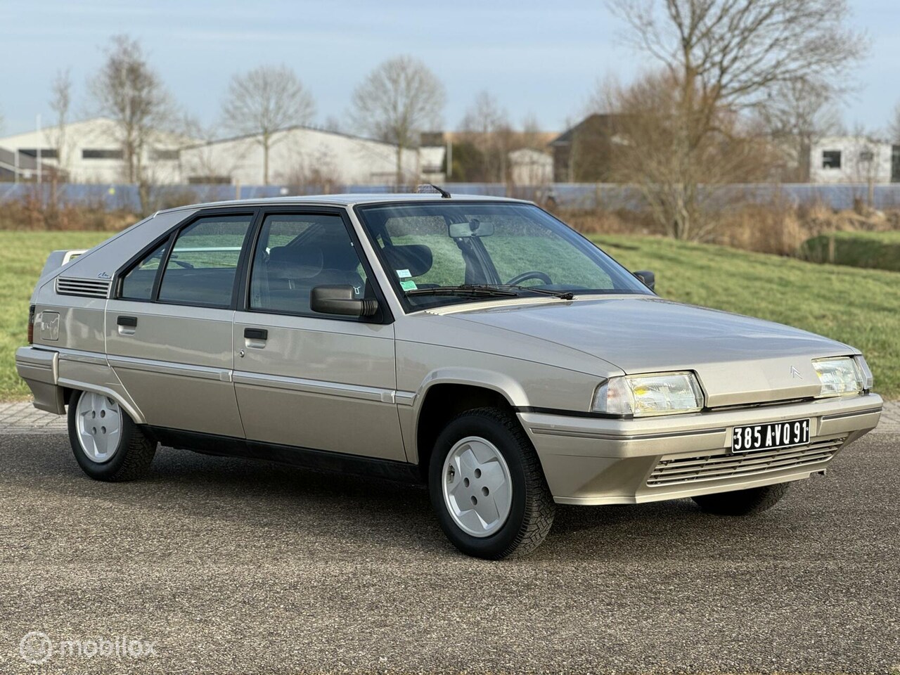 citroen-bx-1-6-millisime-1992-49dkm-topstaat.jpg