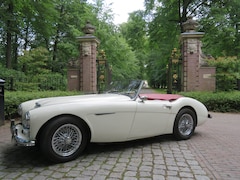 Austin Healey - 100-6