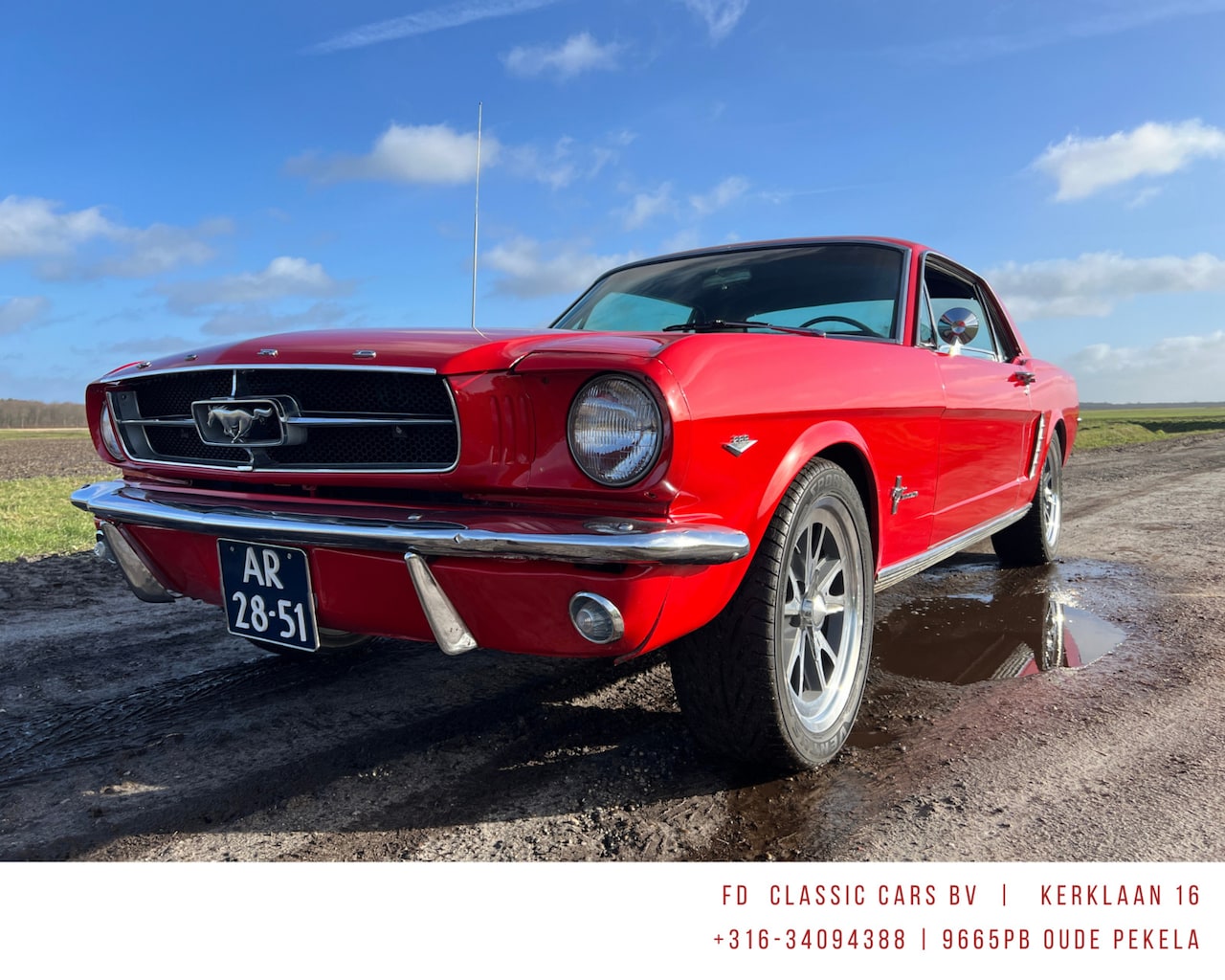 Ford Mustang - Coupe BJ 1965 V8 - AutoWereld.nl