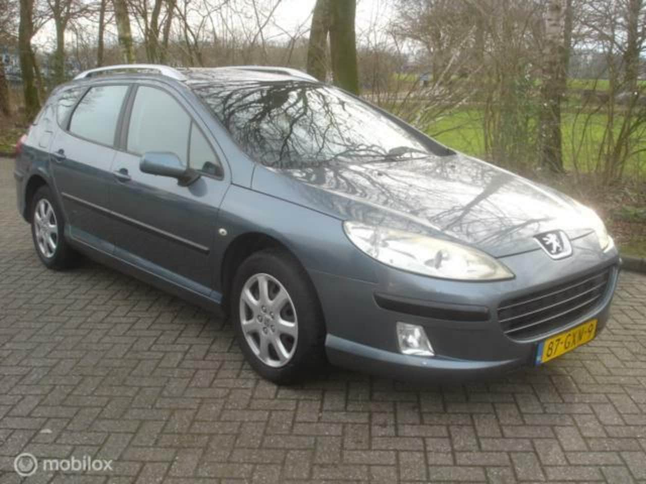 Peugeot 407 SW - 18-16V XR Airco Panorama Motor slaat niet aan - AutoWereld.nl