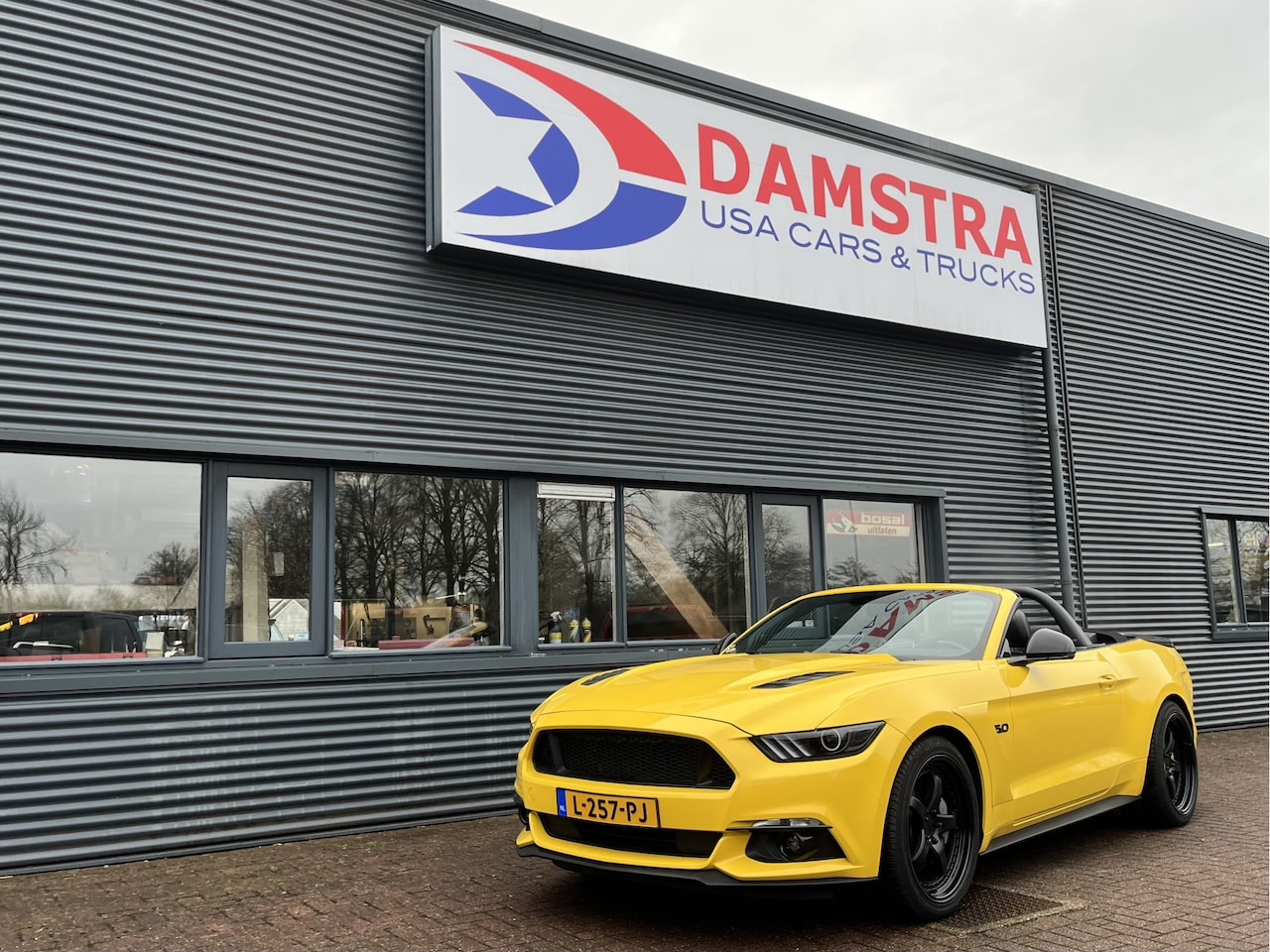 Ford Mustang Convertible - GT 5.0 Cabrio - AutoWereld.nl