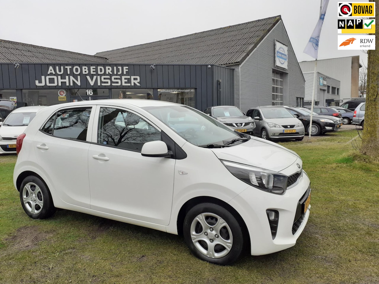 Kia Picanto - 1.0 CVVT EconomyPlusLine *5 drs*airco*bluetooth* - AutoWereld.nl